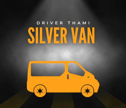 silver van